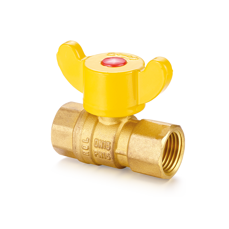 Katup Bola Magnetik YH-204 yang Dapat Dikunci（F/F）